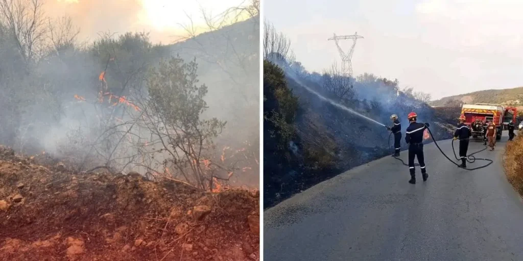 Incendies de forêt : La situation sous contrôle