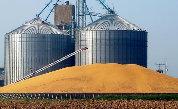 Céréales : L’Algérie augmente ses capacités de stockage