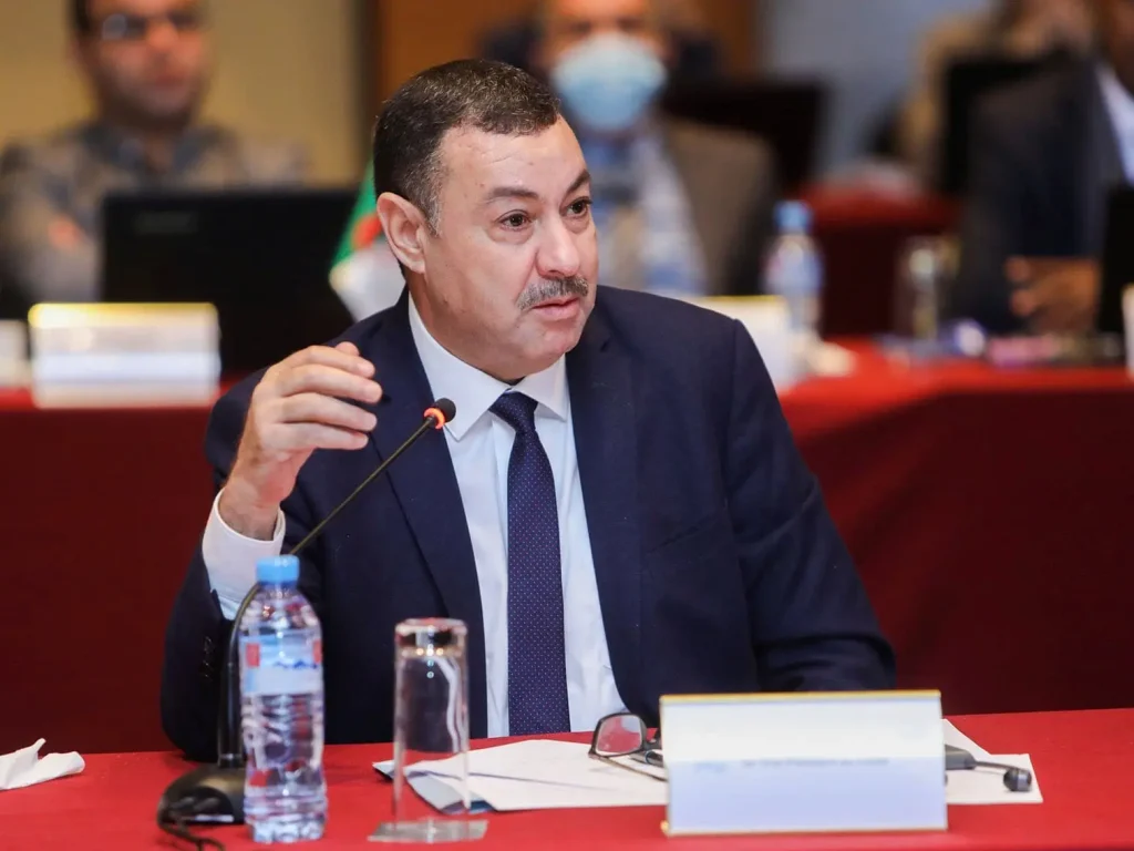 Lutte contre les effets des intempéries : Saïd Sayoud ordonne des inspections immédiates