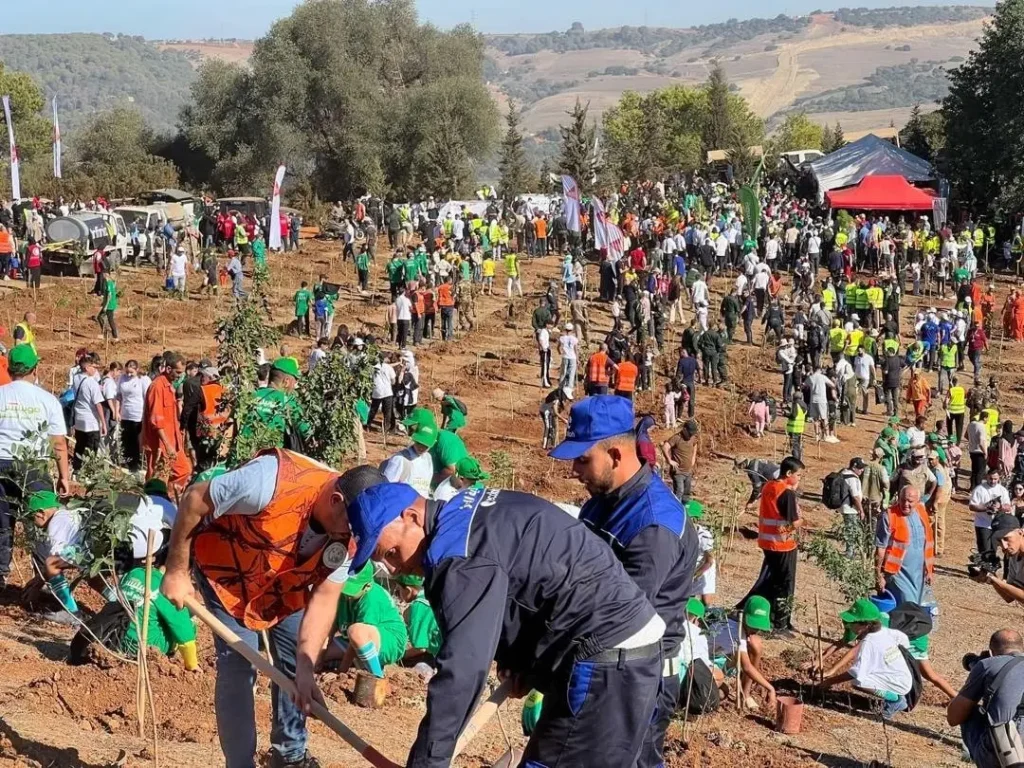 Plus d’un million d’arbres plantés à travers le pays : Un objectif largement dépassé
