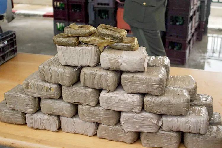 Saisie à Oran de 50 kg de kif traité et arrestation de 3 individus