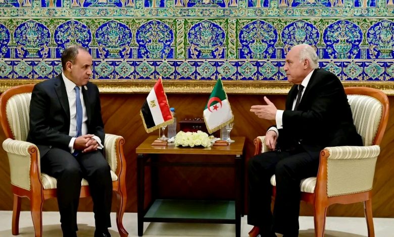 Crise libyenne: Alger et Le Caire harmonisent leurs positions