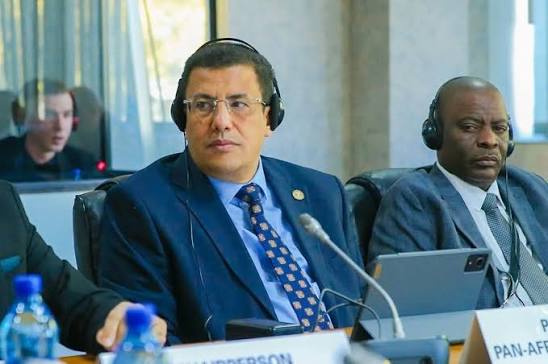Démocratie en Afrique: Fateh Boutbig lance un appel fort