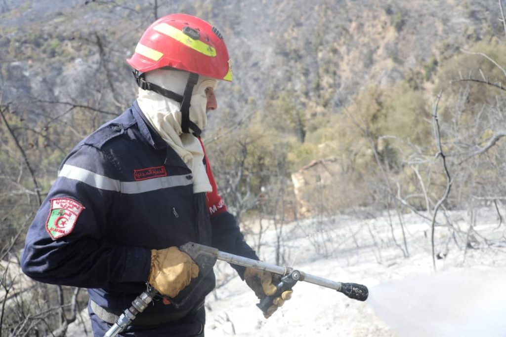 147 incendies enregistrés: Les autorités en état d’alerte maximale