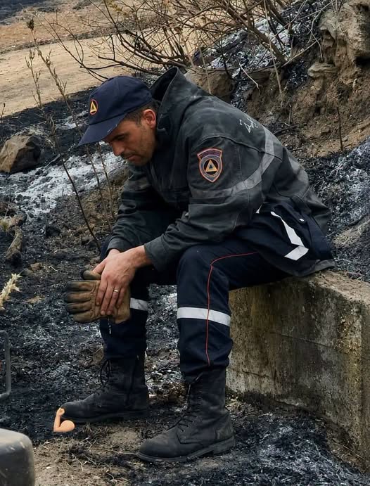 Protection civile: La bataille contre les incendies se poursuit avec 147 foyers éteints