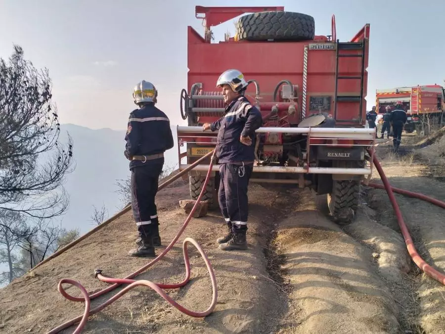Protection civile : Extinction de 107 incendies sur un total 138 en 24h