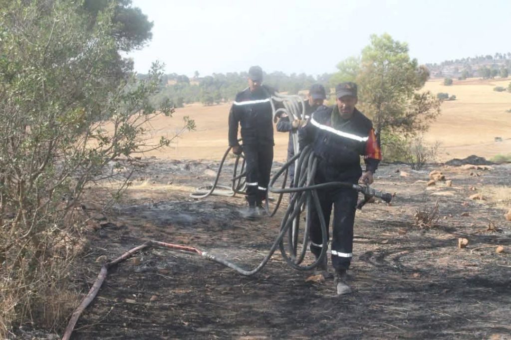 Feux de forêt: 97% des incendies maitrisés