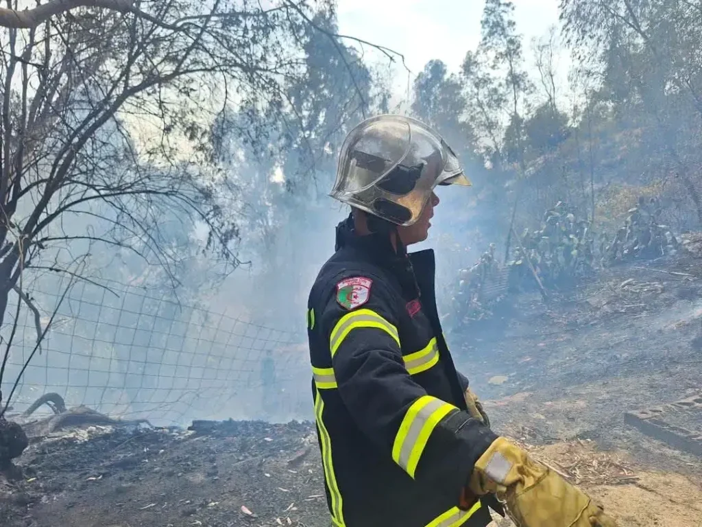 Extinction de 110 incendies sur 174 au cours des dernières 24 heures