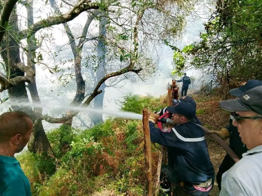 Protection civile : 65 incendies maîtrisés en 24 heures
