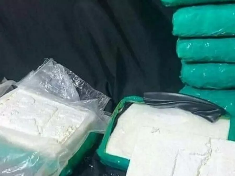 Portugal : Un ressortissant marocain arrêté pour trafic de 400 kg de cocaïne