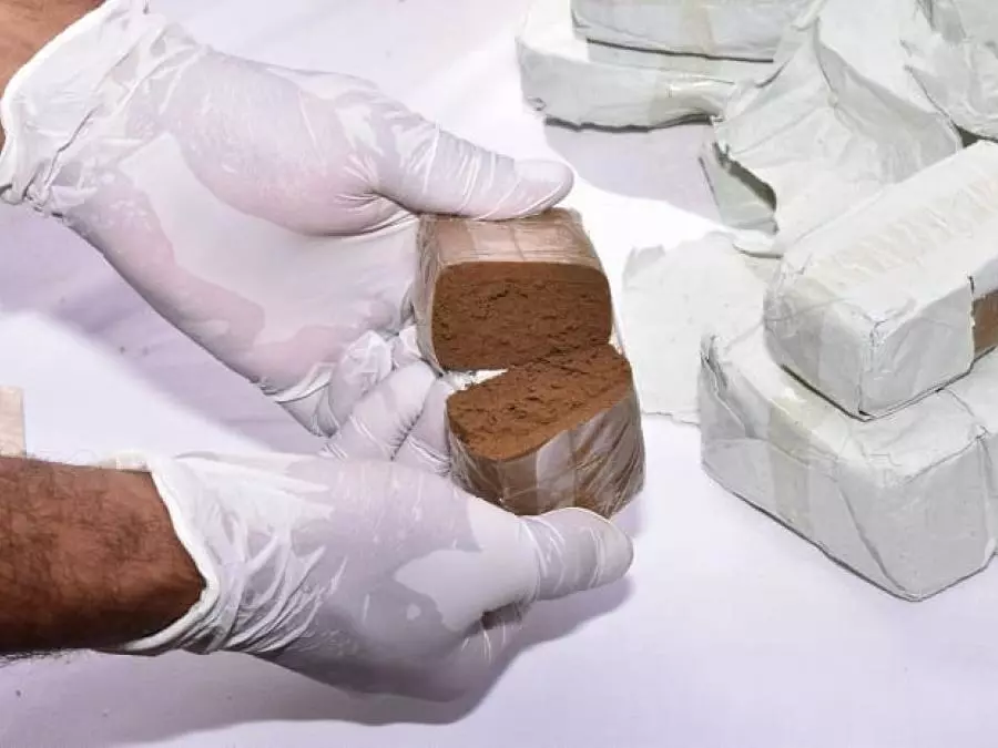 Les douaniers saisissent près de 200 kilos de drogues à Constantine
